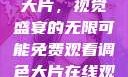 免费观看调色大片，视觉盛宴的无限可能免费观看调色大片在线观看