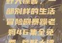 暴躁老妈与荒野大镖客，一部别样的生活冒险剧暴躁老妈46集全免费 荒野大镖客天天嫩模