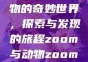 Zoom与动物的奇妙世界，探索与发现的旅程zoom与动物zoom最新版本