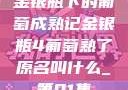 金银瓶下的葡萄成熟记金银瓶4葡萄熟了原名叫什么_第01集