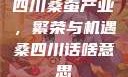 四川桑蚕产业，繁荣与机遇桑四川话啥意思