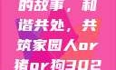 人与猪狗之间的故事，和谐共处，共筑家园人or猪or狗302牧场