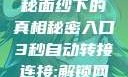 秘密入口，神秘面纱下的真相秘密入口3秒自动转接连接:解锁网络奇妙之门