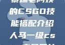 暴躁老阿姨的CSGO技能搭配介绍人马一级csgo交易网站