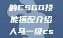 暴躁老阿姨的CSGO技能搭配介绍人马一级csgo交易网站