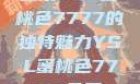 探索YSL蜜桃色7777的独特魅力YSL蜜桃色7777免费