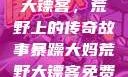 暴躁大妈荒野大镖客，荒野上的传奇故事暴躁大妈荒野大镖客免费观看