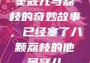 窦寇儿与荔枝的奇妙故事，已经塞了八颗荔枝的他窦寇儿