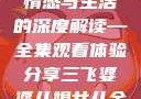 三飞婆婆儿媳女儿，家庭情感与生活的深度解读—全集观看体验分享三飞婆婆儿媳女儿全集观看完整版
