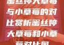 蜜丝婷大草莓与小草莓的对比赏析蜜丝婷大草莓和小草莓对比图