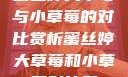 蜜丝婷大草莓与小草莓的对比赏析蜜丝婷大草莓和小草莓对比图