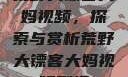 荒野大镖客大妈视频，探索与赏析荒野大镖客大妈视频剧情