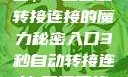 探索秘密入口，3秒自动转接连接的魔力秘密入口3秒自动转接连接:解锁网络奇妙之门