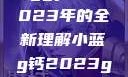 探索小蓝g钙与ggy钙，2023年的全新理解小蓝g钙2023ggy钙2023的功能介绍