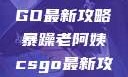暴躁老阿姨教你玩转CSGO最新攻略暴躁老阿姨csgo最新攻略 适合五十岁阿姨
