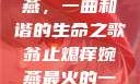 翁止熄痒婉燕，一曲和谐的生命之歌翁止熄痒婉燕最火的一句