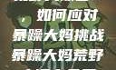 荒野大镖客2，如何应对暴躁大妈挑战暴躁大妈荒野大镖客免费