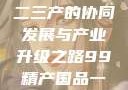 探索中国产业新面貌，一二三产的协同发展与产业升级之路99精产国品一二三产区区观看