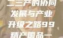 探索中国产业新面貌，一二三产的协同发展与产业升级之路99精产国品一二三产区区观看