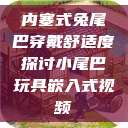 内塞式兔尾巴穿戴舒适度探讨小尾巴玩具嵌入式视频  第1张