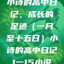 小诗的高中日记，成长的足迹（一月至十五日）小诗的高中日记1一15小说  第1张