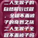 二人生猴子的自然繁衍过程，全程不盖被子的奇妙之旅二人生猴子全程不盖被子吗  第1张