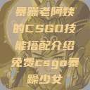 暴躁老阿姨的CSGO技能搭配介绍免费csgo暴躁少女  第1张