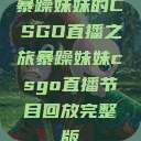 暴躁妹妹的CSGO直播之旅暴躁妹妹csgo直播节目回放完整版  第1张