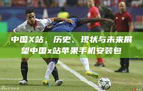 中国X站，历史、现状与未来展望中国x站苹果手机安装包  第1张
