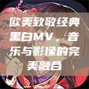 欧美致敬经典黑白MV,音乐与影像的完美融合 第1张 欧美致敬经典黑白MV,音乐与影像的完美融合 第1张
