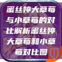 蜜丝婷大草莓与小草莓的对比解析蜜丝婷大草莓和小草莓对比图  第1张