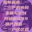 探索中国产业新篇章，一二三产的协同发展与区域特色解读99精产国品一二三产区区观看  第1张