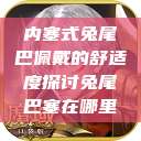 内塞式兔尾巴佩戴的舒适度探讨兔尾巴塞在哪里  第1张