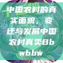 中国农村的真实面貌，变迁与发展中国农村真卖Bbwbbw  第1张