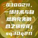 探索樱花JSQ30Q211，一场技术与自然的完美融合之旅樱花jsq30q211使用说明  第1张
