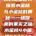 水蜜桃与小蜜桃的甜蜜世界
探索水蜜桃与小蜜桃的奥秘—一场甜美的果实之旅水蜜桃4小蜜桃4X7X7X7灯水蜜桃水  第1张