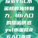 探索YSL水蜜桃的独特魅力，86入口的甜蜜诱惑ysl水蜜桃86入口直播  第1张