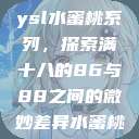 ysl水蜜桃系列，探索满十八的86与88之间的微妙差异水蜜桃  第1张