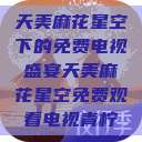 天美麻花星空下的免费电视盛宴天美麻花星空免费观看电视青柠  第1张