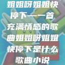 姐姐呀姐姐快停下—一首充满情感的歌曲姐姐呀姐姐快停下是什么歌曲小说  第1张