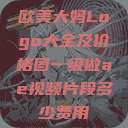 欧美大妈Logo大全及价格图一级做ae视频片段多少费用  第1张