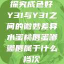 探究成色好Y31与Y31之间的微妙差异水蜜桃唇蜜嘟嘟唇属于什么档次  第1张