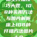 床上扦插技巧大观，108种实用方法与图片解析床上108种扦插方法图片大全  第1张