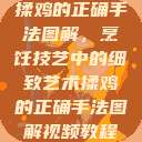 揉鸡的正确手法图解，烹饪技艺中的细致艺术揉鸡的正确手法图解视频教程  第1张