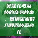 窦寇儿与荔枝的奇妙故事，塞满甜蜜的八颗荔枝窦寇儿  第1张