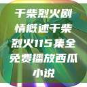 干柴烈火剧情概述干柴烈火115集全免费播放西瓜小说  第1张