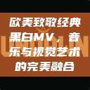 欧美致敬经典黑白MV，音乐与视觉艺术的完美融合  第1张