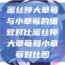 蜜丝婷大草莓与小草莓的细致对比蜜丝婷大草莓和小草莓对比图  第1张