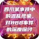 四川某事件中的混乱现象，对BBB事件的深度探讨  第1张