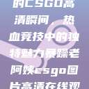 暴躁老阿姨的CSGO高清瞬间，热血竞技中的独特魅力暴躁老阿姨csgo图片高清在线观看  第1张